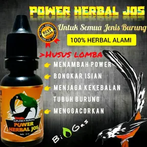 POWER HERBAL JOS PENGGACOR BURUNG HUSUS LOMBA