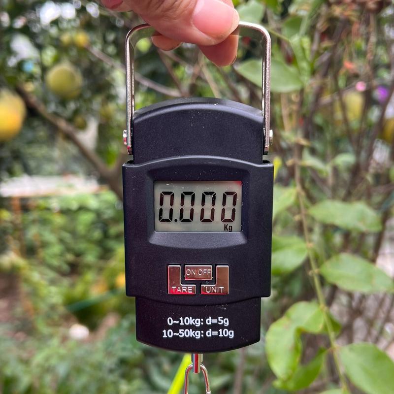 Cân Điện Tử Mini Cầm Tay - Cân Hành Lý Có Móc Treo Và Thước Đo Độ Chính Xác Cao