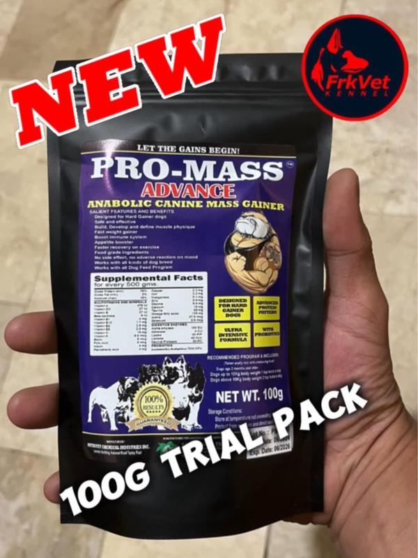 PRO MASS ADVANCE 100g Trial Pack The Ultimate Weight Gainer for ...