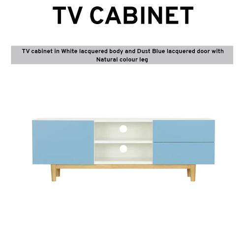Product Introduction of MYH Furniture Shoe Cabinet Blue Shoe Rack 2 Swing Door 15