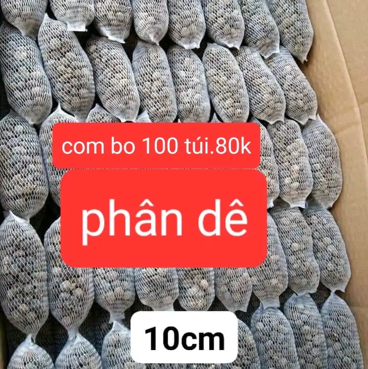 100túi phân dê 10cm đóng túi bón hoa lan