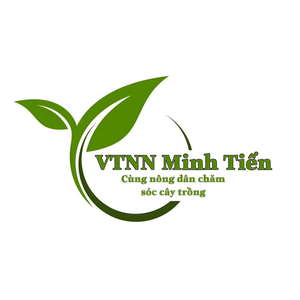 VTNN Minh Tiến