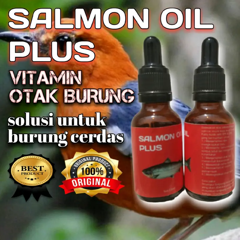 Penggacor Burung Minyak Ikan 0