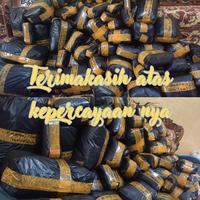 Gambar (Isi 5pc) Kaos anak usia 2-5 tahun dari Suplier Baju Anak Kab. Klaten 4 Tokopedia