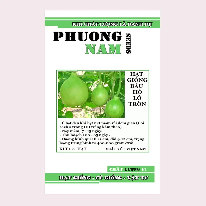 5 HẠT - HẠT GIỐNG BẦU TRÒN ĐÀ LẠT 4