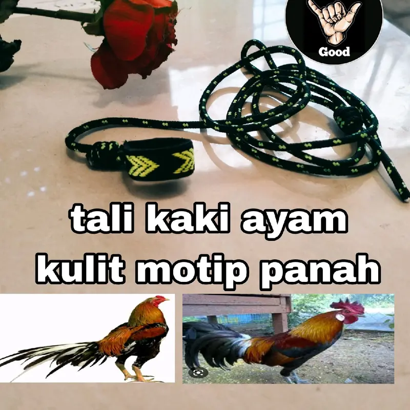 tali kaki ayam kulit motip panah 0