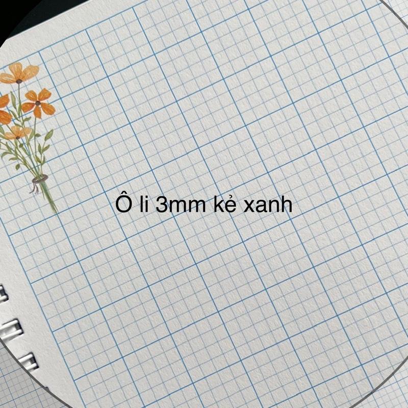 Sổ A4 siêu đẹp luyện chữ đa dạng