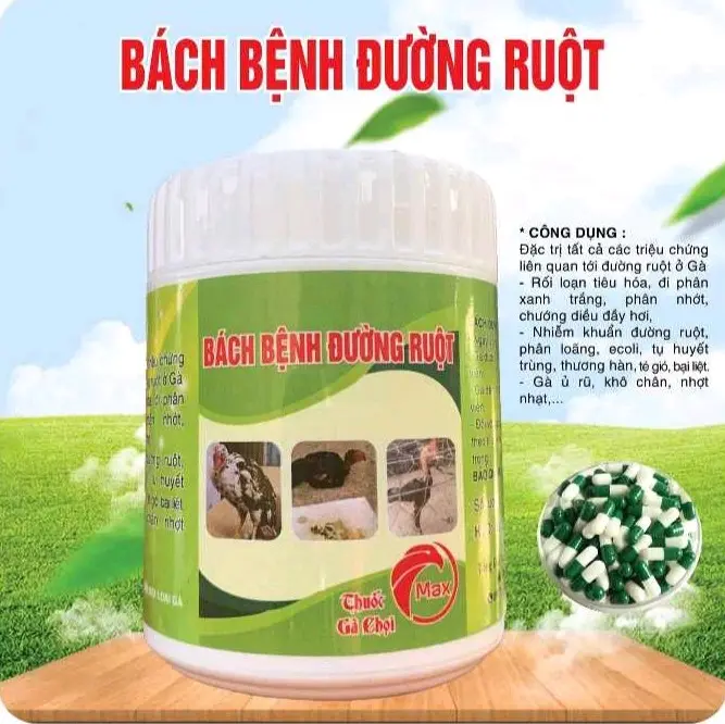 bách bệnh đường ruột : phân xanh,phân trắng,cù zù,ủ rũ,chậm tiêu,té gió bại liệt,sốt bỏ ăn 2