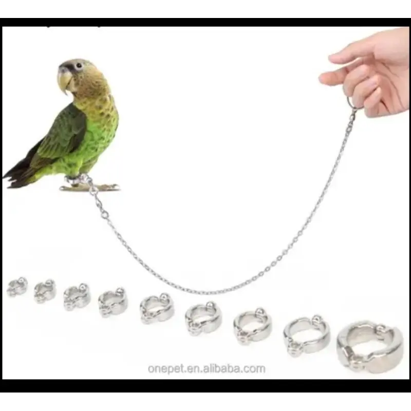 RING BORGOL /RING BORGOL SUNCONUR/PAROT/RING BORGOL LOVEBIRD/RING BURUNG FALK/RING BURUNG NURI/RING BORGOL KAKAK TUA/RING BORGOL PERKUTUT/RING BORGOL ELANG I