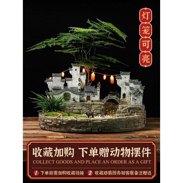 nhà mô hình cây cảnh trồng tiểu cảnh trong nhà 2