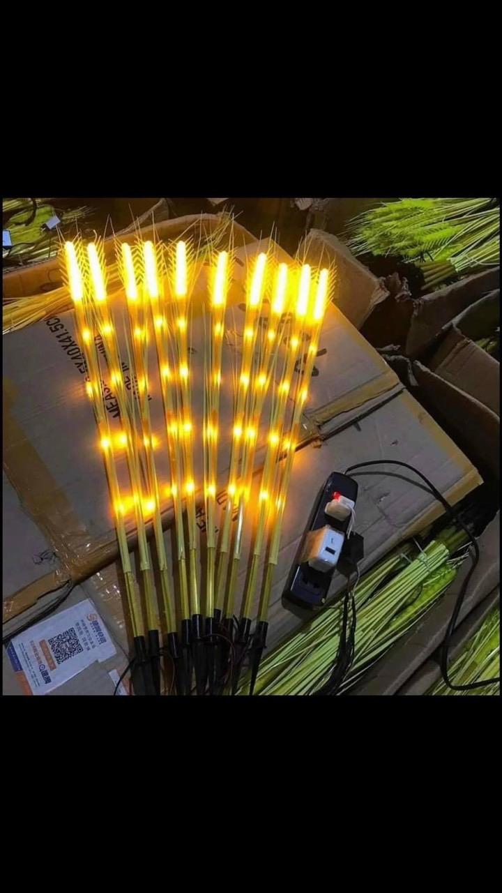 Product Introduction of Đen led bóng lúa trang trí 10 cây 1