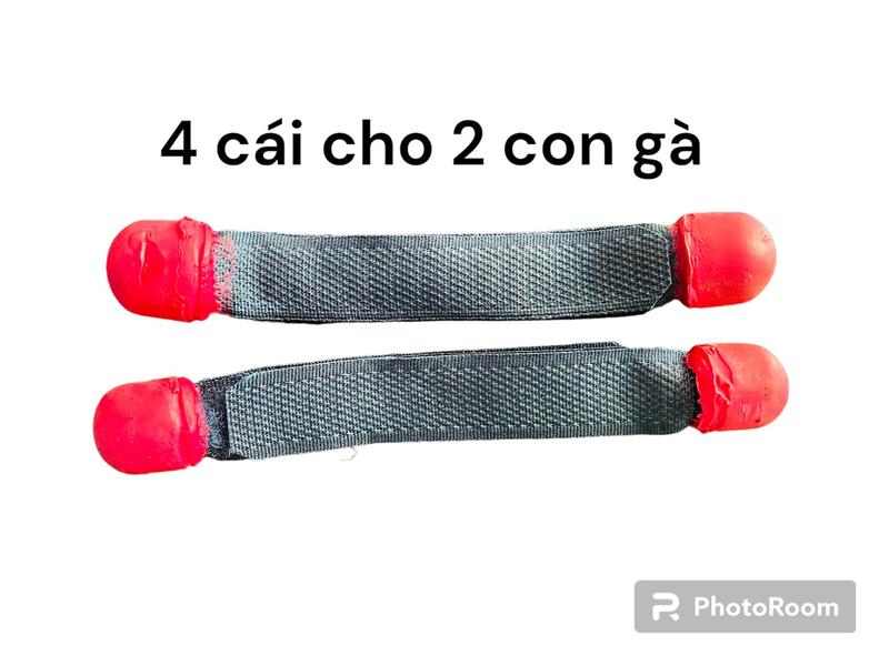 Bịch xỗ vải cho gà nòi gà tre – Tập lực an toàn