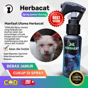 Obat jamur scabies kucing Herbacat Spray Ampuh dan Alami aman untuk kitten anak kucing bebas parasit kulit bulu sehat