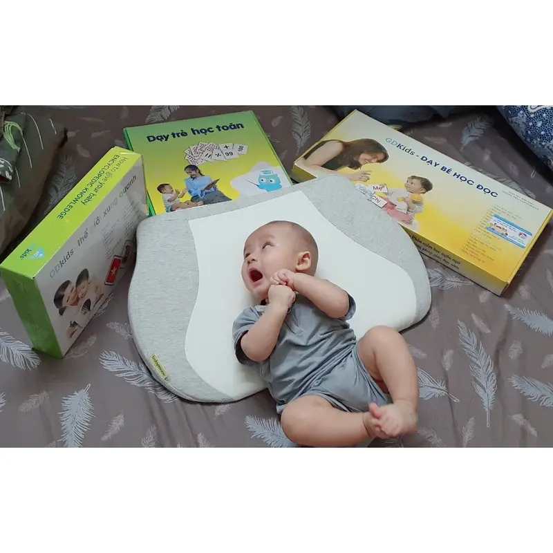Flashcard Glenn Doman Thế Giới Xung Quanh - Bộ Thẻ Học Thông Minh Cho Bé 100 Thẻ TN0005 (Có hỗ trợ giáo trình học) ) 6