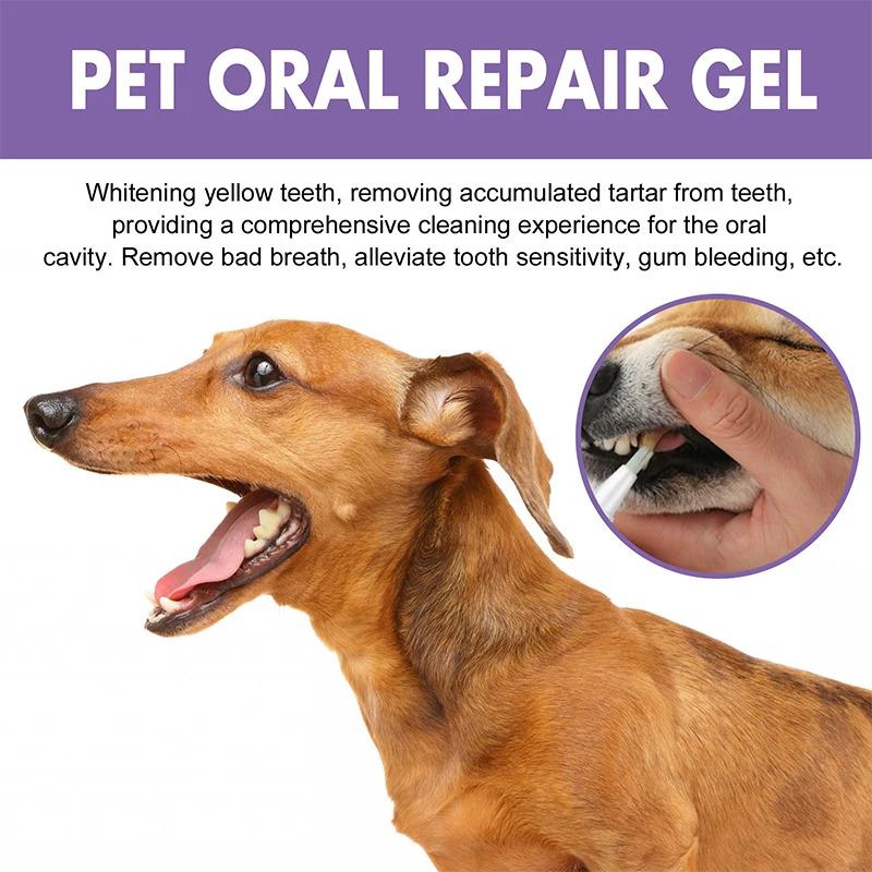 Product Introduction of Pet Teeth Cleaning Tooth Whitening Pen Suitable For Dogs And Cats Remove Bad Breath Pet Oral Care 11