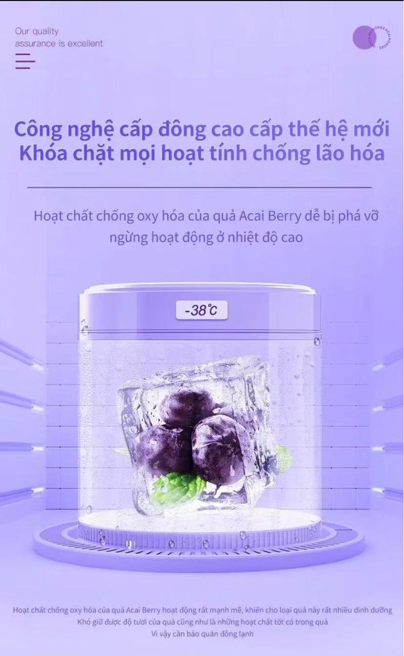 Product Introduction of Bột nước ép từ trái Acai berry (Nam việt quất), thành phần lành tính chiết xuất hoàn toàn từ thực vật 4