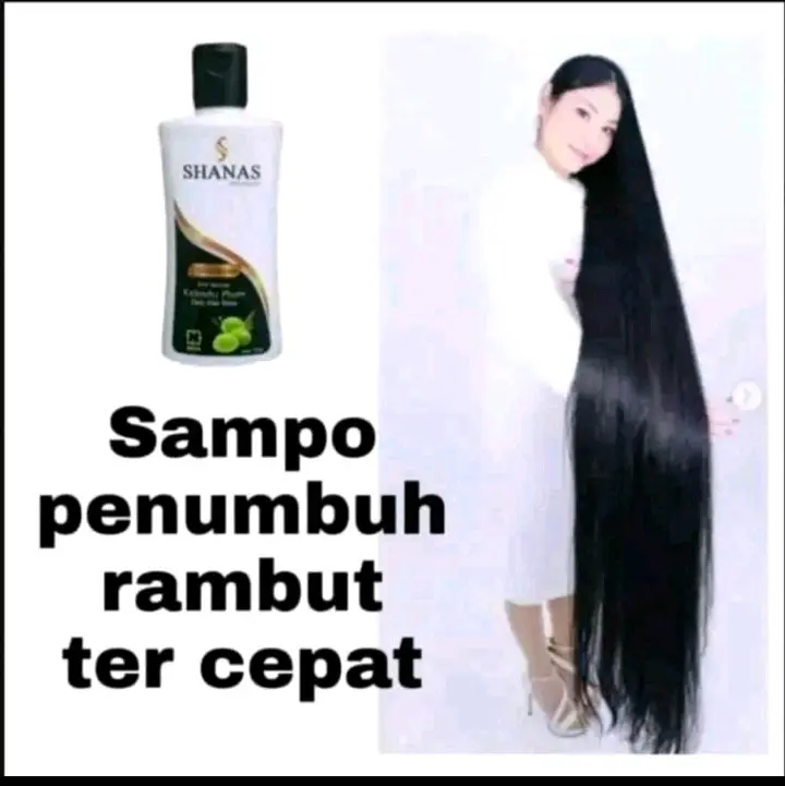 PENUMBUH RAMBUT DENGAN CEPAT//BASMI KUTU SHANAS SHAMPO ANTI RONTOK