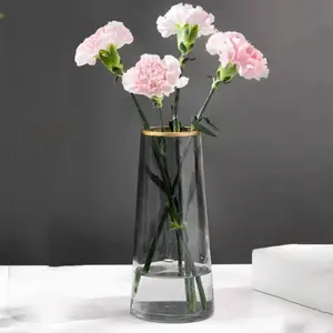 QINTONG Vas Bunga Kaca Silinder Smooth Nordic Simple Glass Vase - QT072