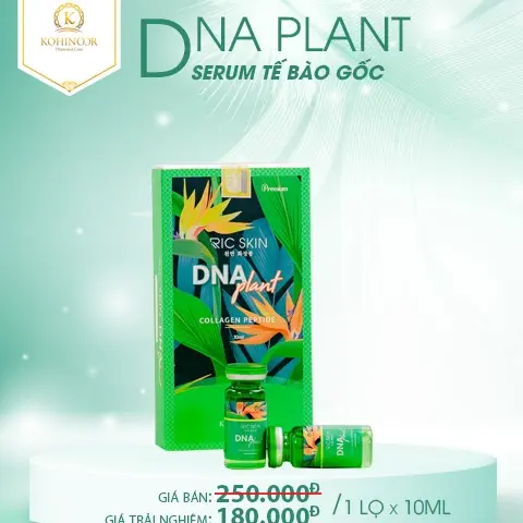 Serum D.N.A Plant Kohinoor 10ml 4
