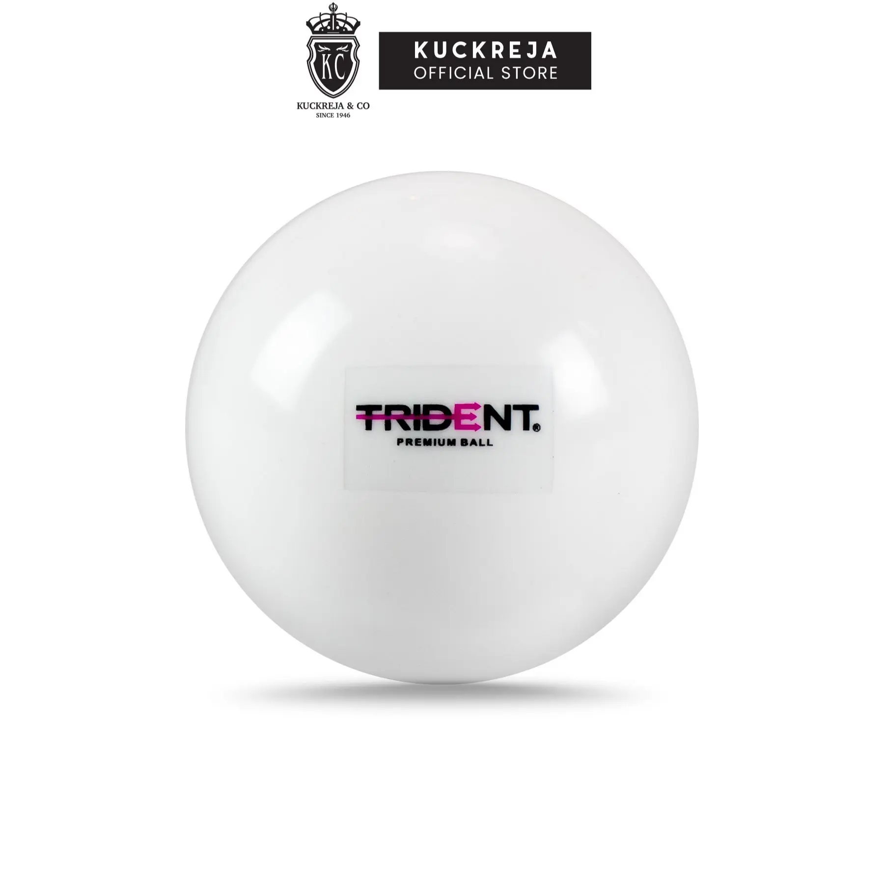 Trident Premium Indoor Hockey Ball - White