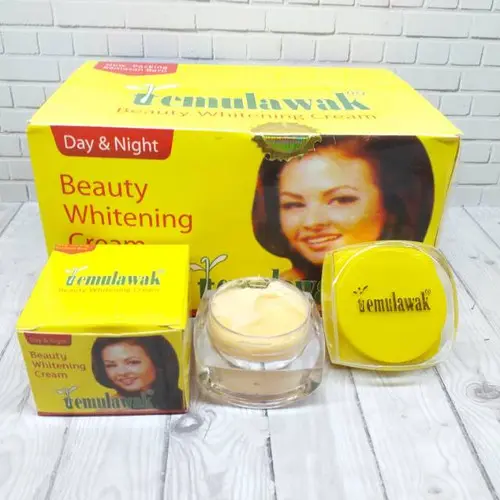 [ 12pcs ] Cream TEMULAWAK Beauty Cream Siang & Malam