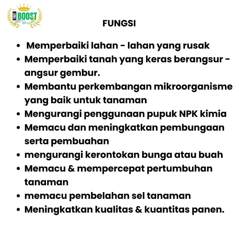 Pupuk Booster Tanaman Cengkeh 100ml merangsang bunga cengkeh tumbuh lebat 4