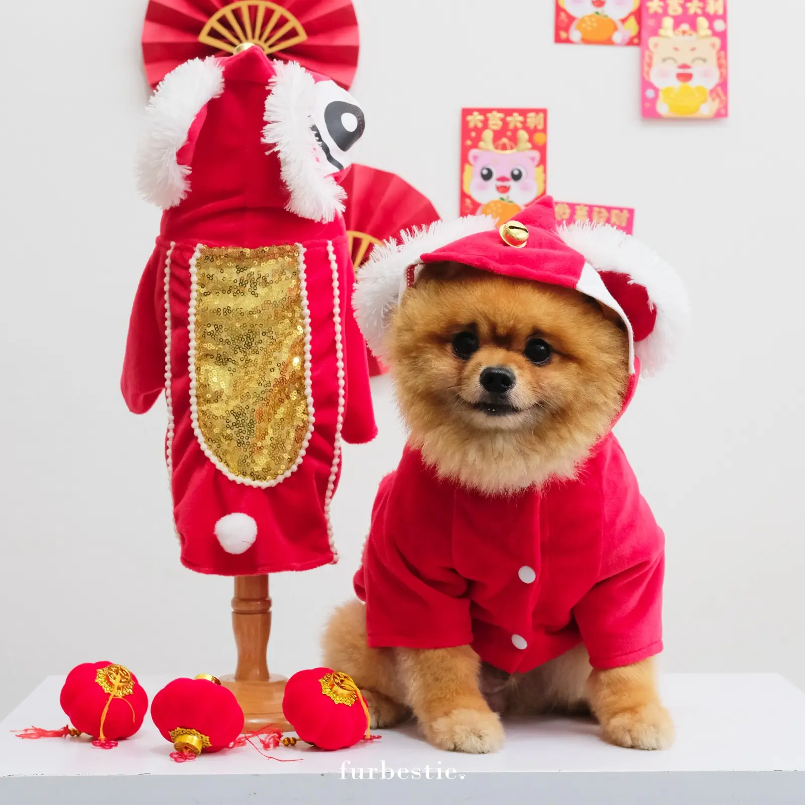 Furbestie by Pomapoo - Kostum Kucing dan Kostum Anjing Barongsai Costume