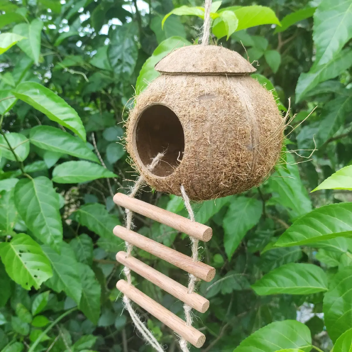 Tổ chim sóc hamster bằng gáo dừa 4 thang khoan bụng gáo