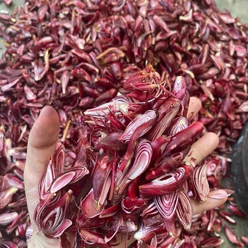 Trà sâm đại hành núi đỏ 1 kg 0