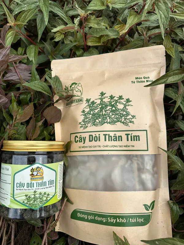 VIÊN DÒI THÂN TÍM MẬT ONG- VIÊN NHỎ- VIÊN TO- HỖ TRỢ CÁC VẤN ĐỀ VỀ HÔ HẤP VÀ DẠ DÀY (Tặng Hạt Giống) 3