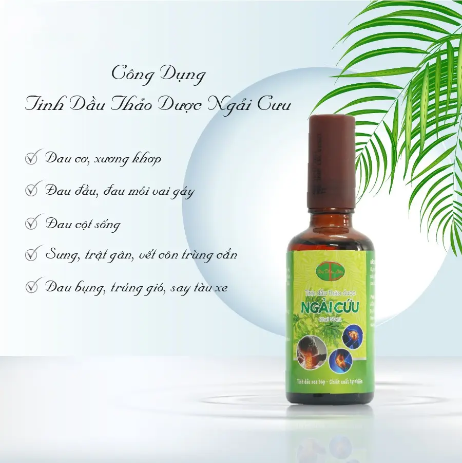 Tinh dầu xoa bóp thảo dược Ngải Cứu 50ml - Dạ Thảo Liên