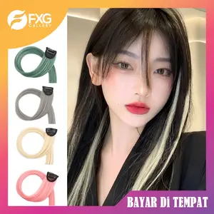 FXG - Wig Rambut Palsu Wanita Pemanjang Rambut Palsu Warna Jepit Lurus hair extension clip ACC18