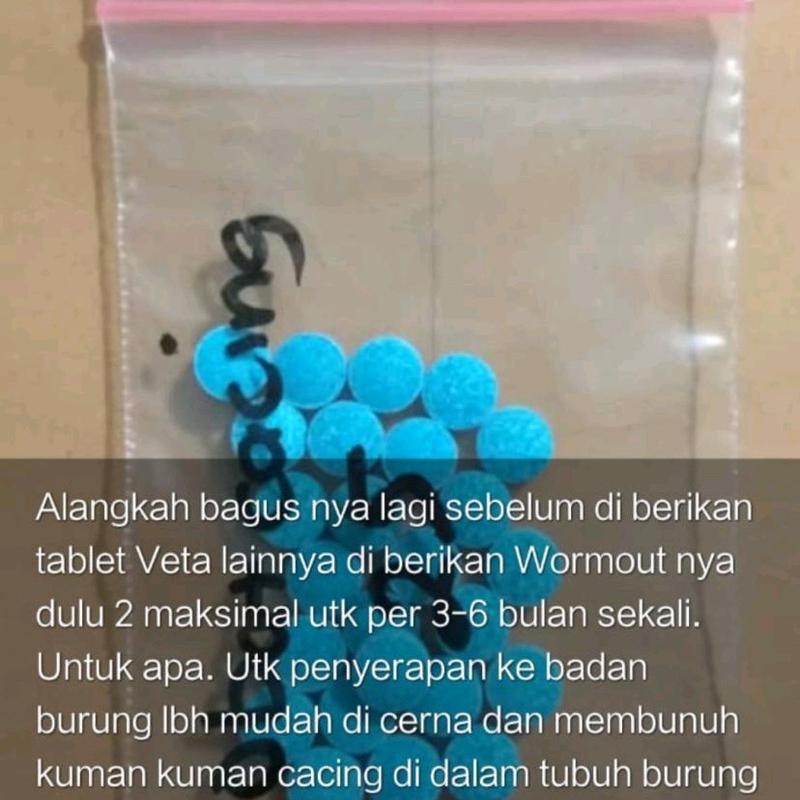 WORM OUT VETAFARM PER 10BUTIR OBAT CACING MERPATI DARA POS 0