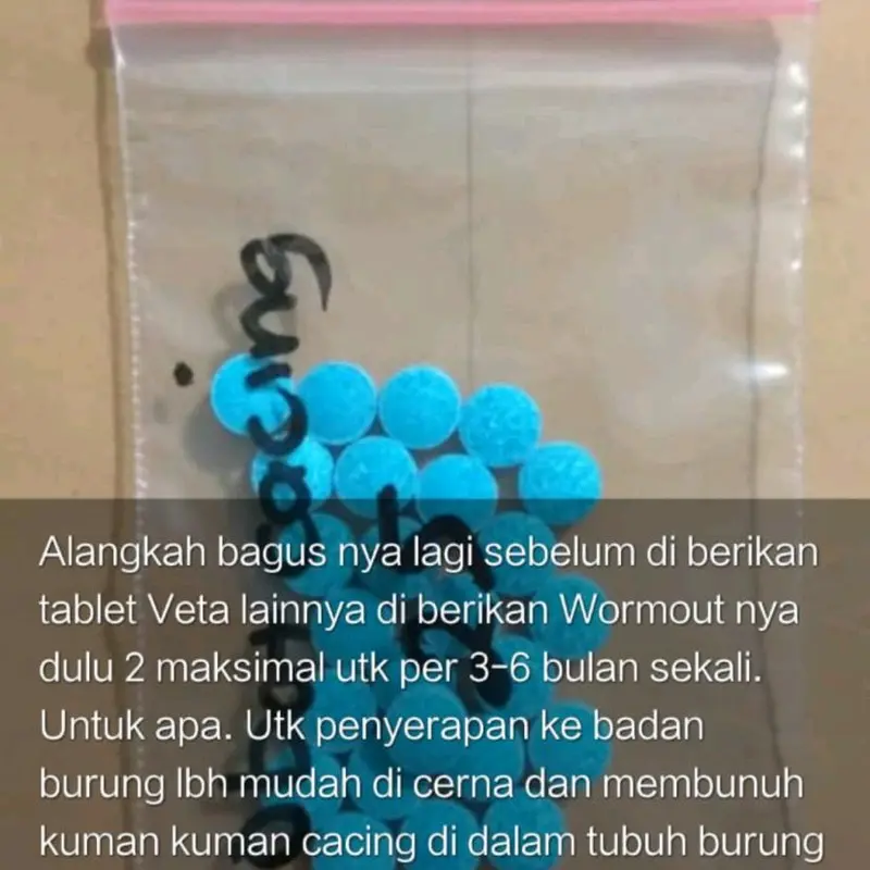 WORM OUT VETAFARM PER 10BUTIR OBAT CACING MERPATI DARA POS 0