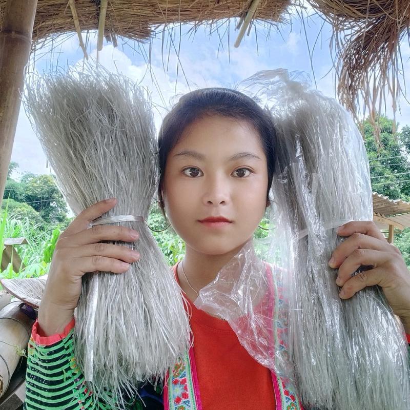 [Sùng Bầu] - 2 kg Miến dong thái tay sợi nhỏ - Sùng Thị Bầu Food Thức Ăn