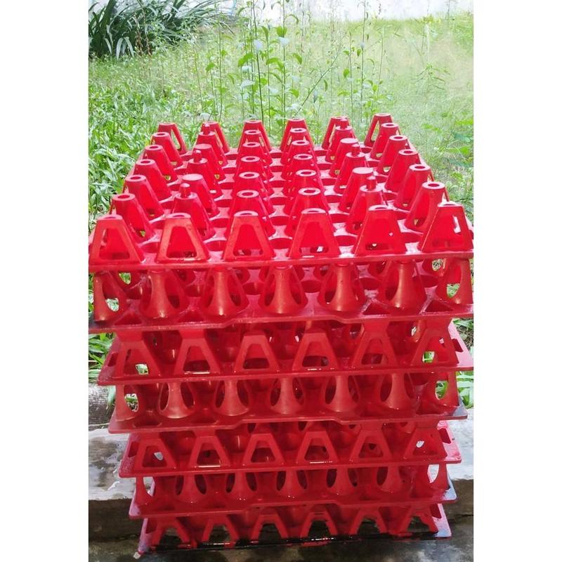 Jamin Tray Telur Bahan Plastik 3
