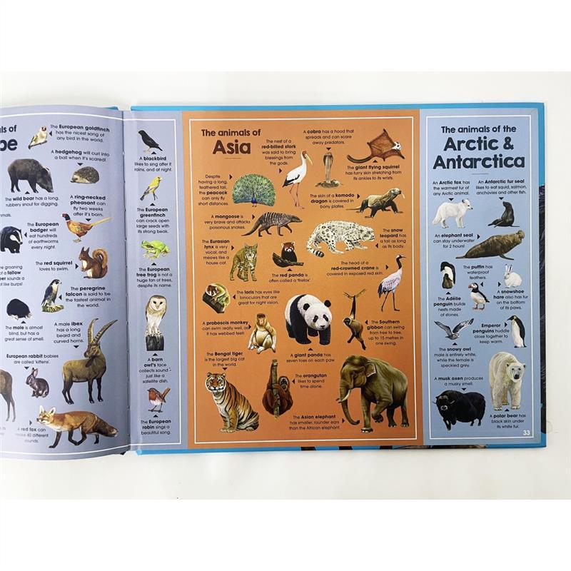 Product Introduction of High Quality Animals Of The World Book For Kids To Learn Interesting Facts About Animals (Hardcover) 20