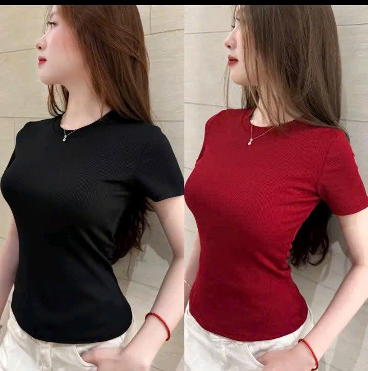Product Introduction of Áo Thun Trơn Nữ cổ tròn vải thun gân tăm Fom ôm dáng siêu xinh 3