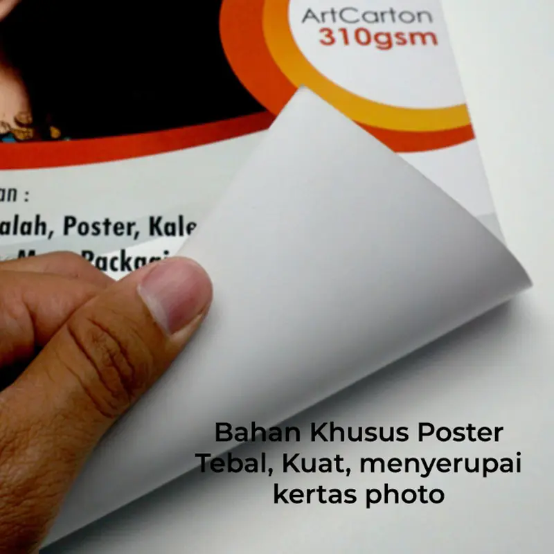 Poster Hewan Mengenal Binatang | Animals Poster anak 2