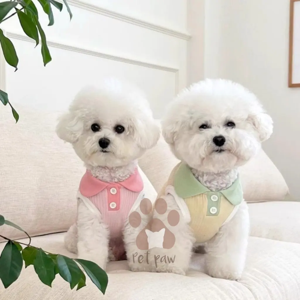 Petpaw Baju Anjing Kucing Macaron Top Kaos Anabul Premium Santai