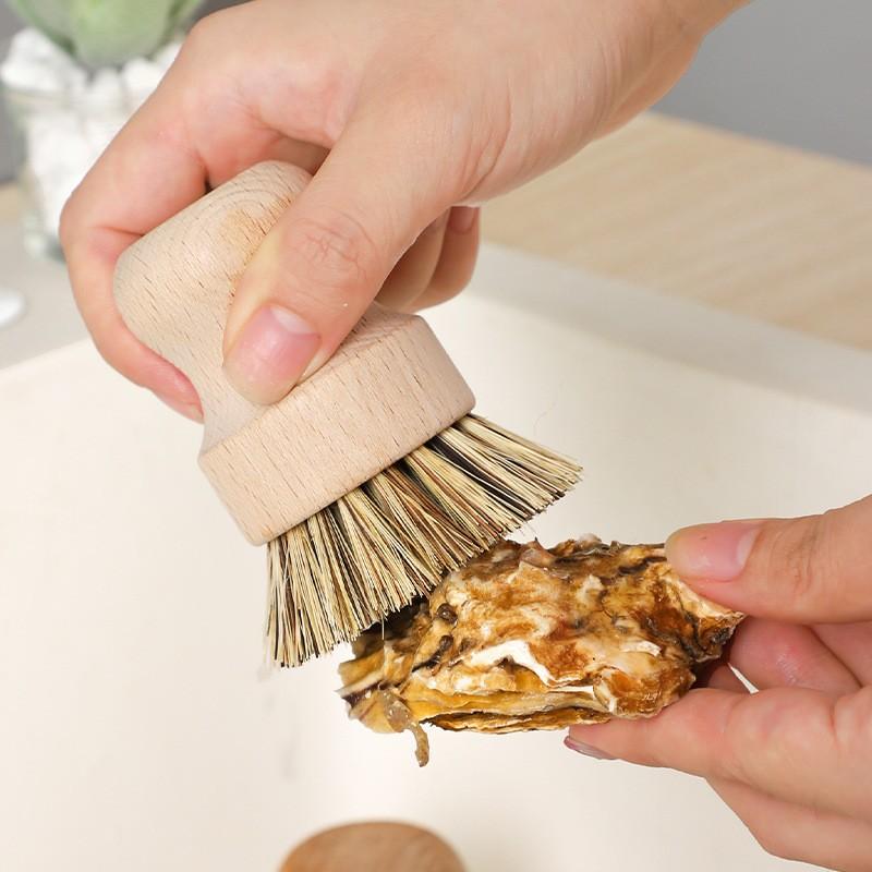Product Introduction of Wooden Dish Brush with Natural Sisal and Coconut Durable 9
