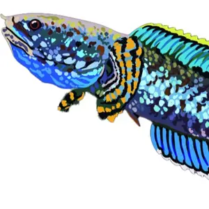 Thuỷ Sinh Bến Tre