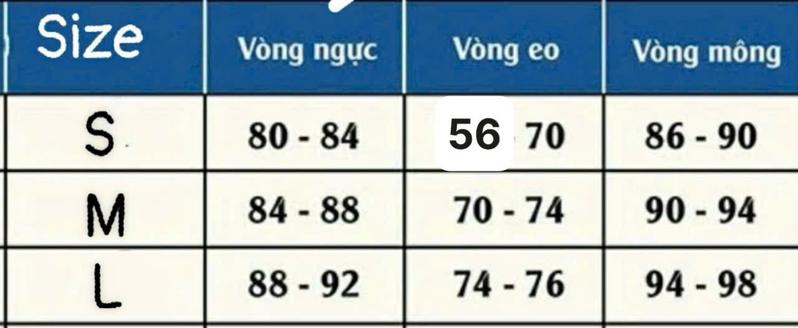Product Introduction of Đầm body cúp ngực vòng cổ nhún thân đính hoa tua rua ôm gọn tôn dáng xinh xắn cho nàng Nữ Women Dress Cup Thun 0