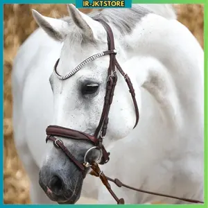 Kendali Berkuda Kavalkade Everness – Bridle Nyaman & Berkualitas untuk Horse Riding