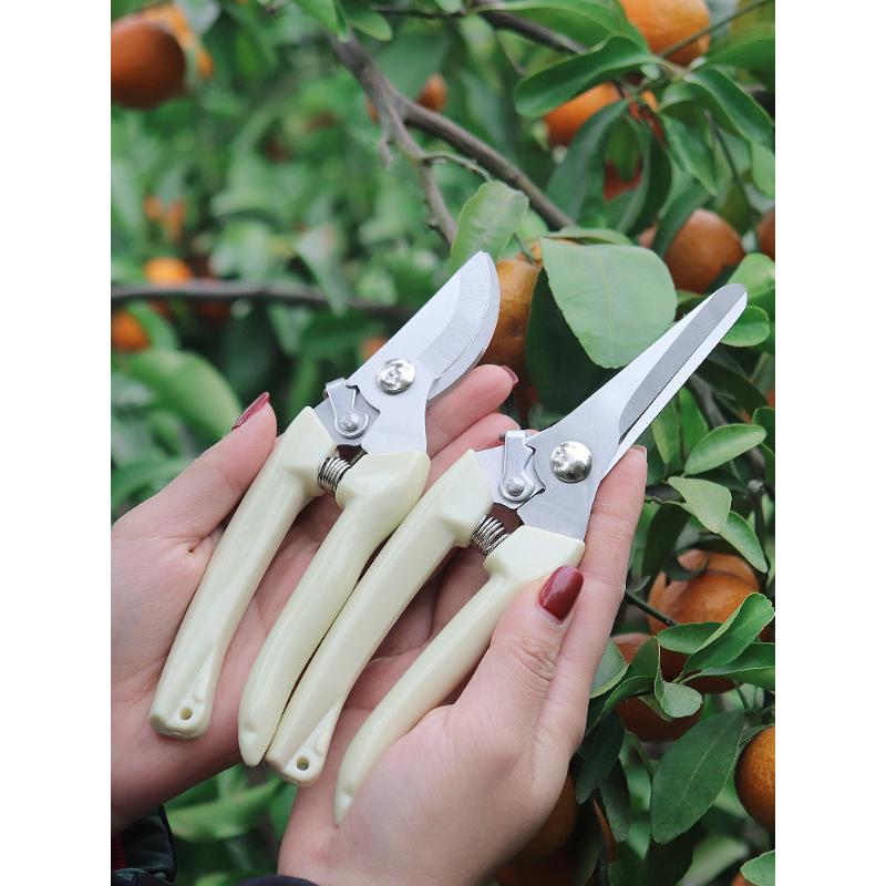 Stainless Steel Branch Pruning Shears For Picking Fruits And Flowers, Garden Fruit Tree Flower Grafting Tools 0
