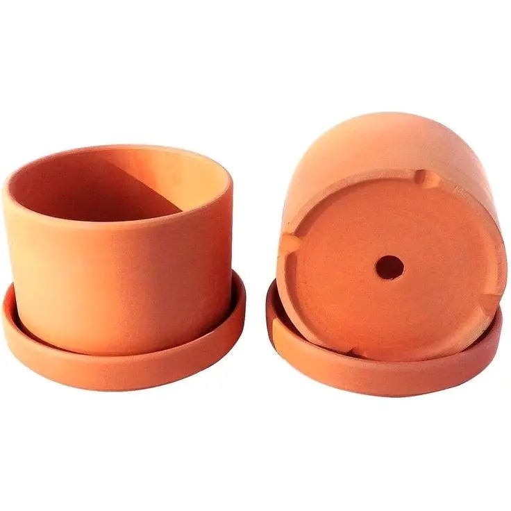 POT flash sale SPECIAL 88
