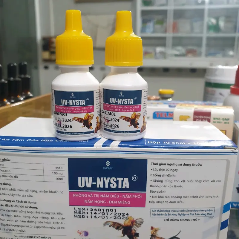 1 chai Nysta UV (dung dịch uống 10ml) đặc trị đẹn, nấm diều, nấm phổi, nấm họng cho gà đá thuốc  trị 1