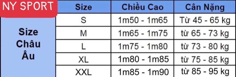 Product Introduction of Bộ quần áo tuyển Đức 96 quần có túi vải gai thái full logo 0