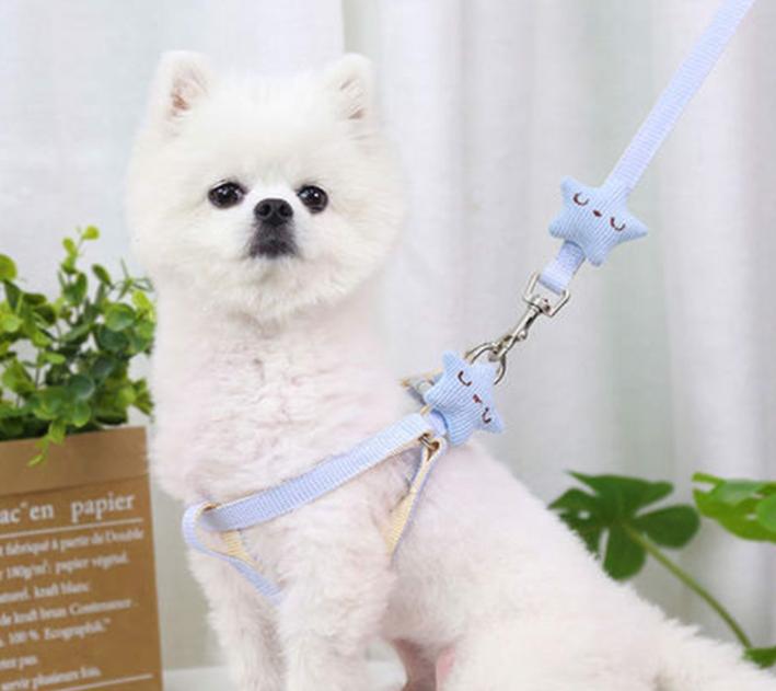Dây dắt yếm cho thú cưng nhỏ, hình ngôi sao dễ thương 4