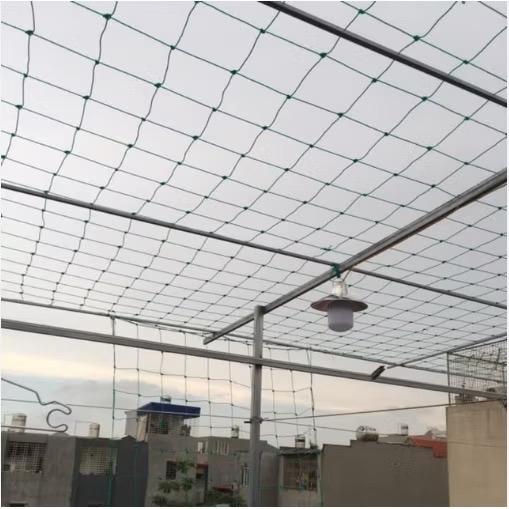 10-50M Lưới làm giàn leo dây leo bầu bí định hướng phát triển cây Khổ rộng 2M 3M màu đen